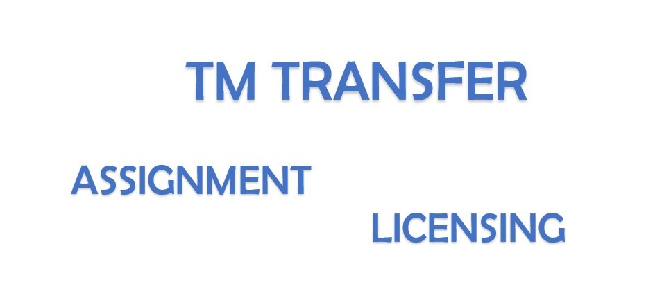 Navigating Trademark Rights Transfer in India: A Comprehensive Guide to Assignment and Licensing